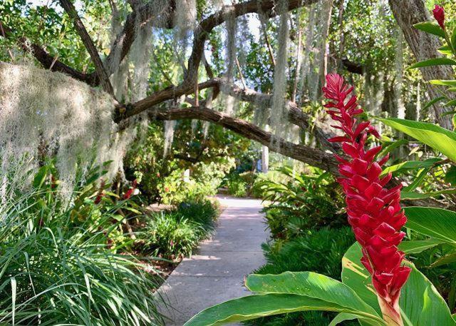 Ocean View Villa Key West Dış mekan fotoğraf